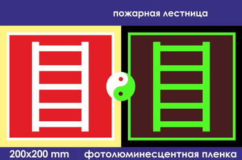 F03 пожарная лестница (фотолюминесцентная пленка, 200х200 мм) - Знаки безопасности - Фотолюминесцентные знаки - . Магазин Znakstend.ru